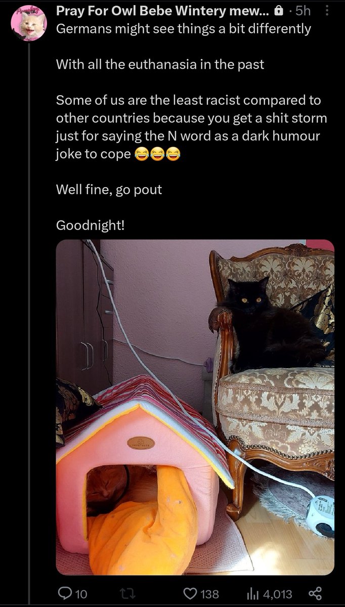 mrteddycat's tweet photo. Why in the hell would you EVER say something like that?! @PawsleyTheCat racism and anti-Semitism isn't going to get you out of the fact we all see exactly what you're doing to your poor cat. Don't be so vile. Get offline, seek help. https://t.co/w8hH5cZWMb