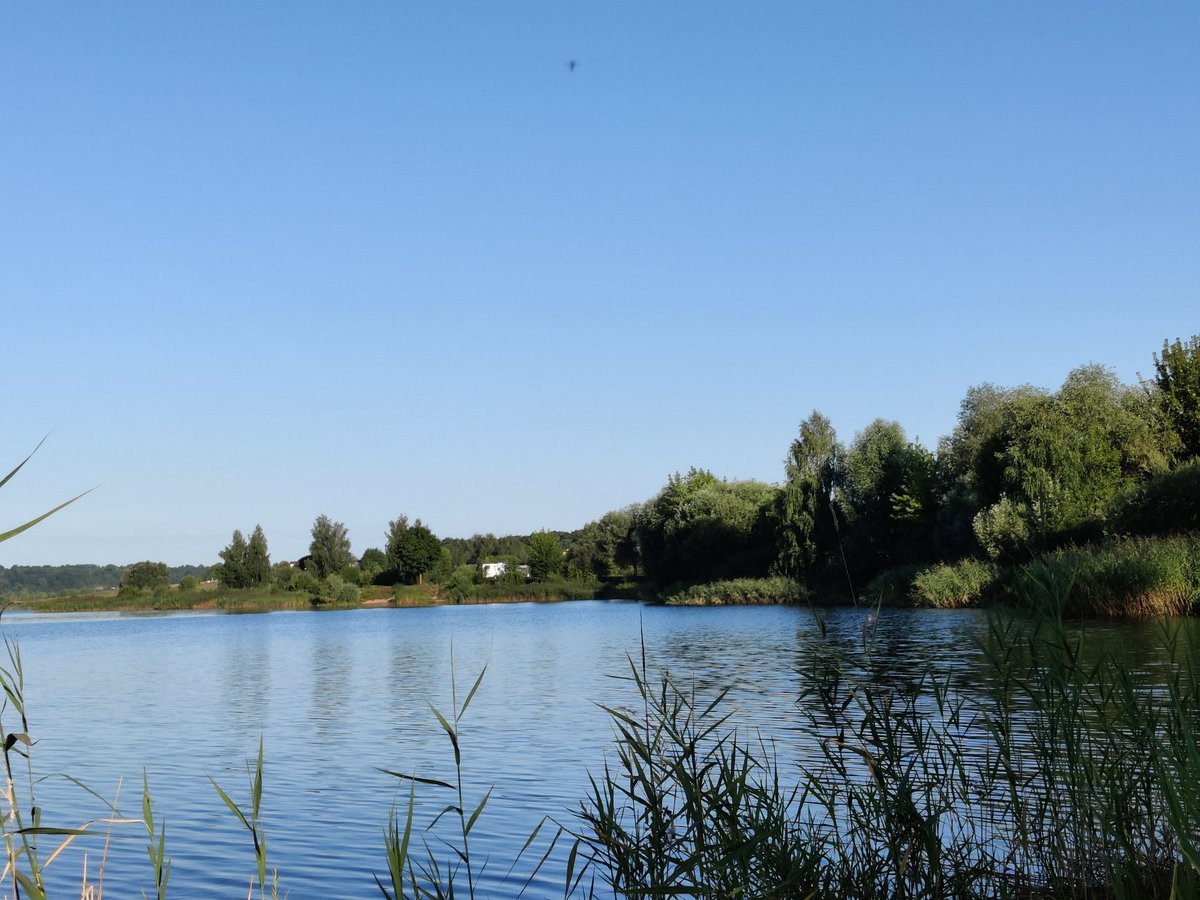 MillingtonSally's tweet photo. Morning 5km run
A beautiful start to the day, clear skies and not too hot. By the lake then around a flash estate, through a bit of forest and back by the lake. Happy Friday 😀🏃‍♀️ #Kaunas #Running #RunATWorld #TeamNorth https://t.co/ChTcdnnN35
