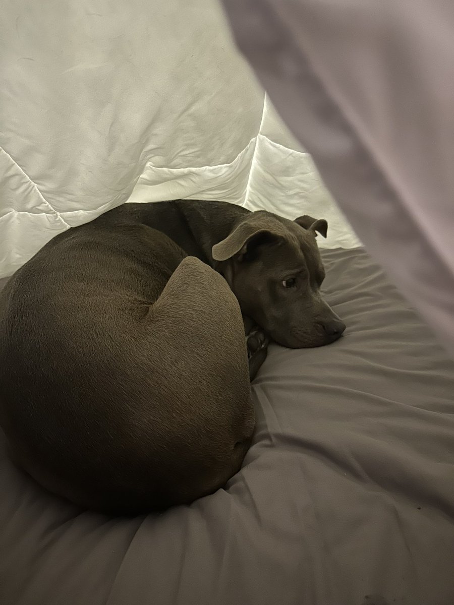 My little baby! 💜