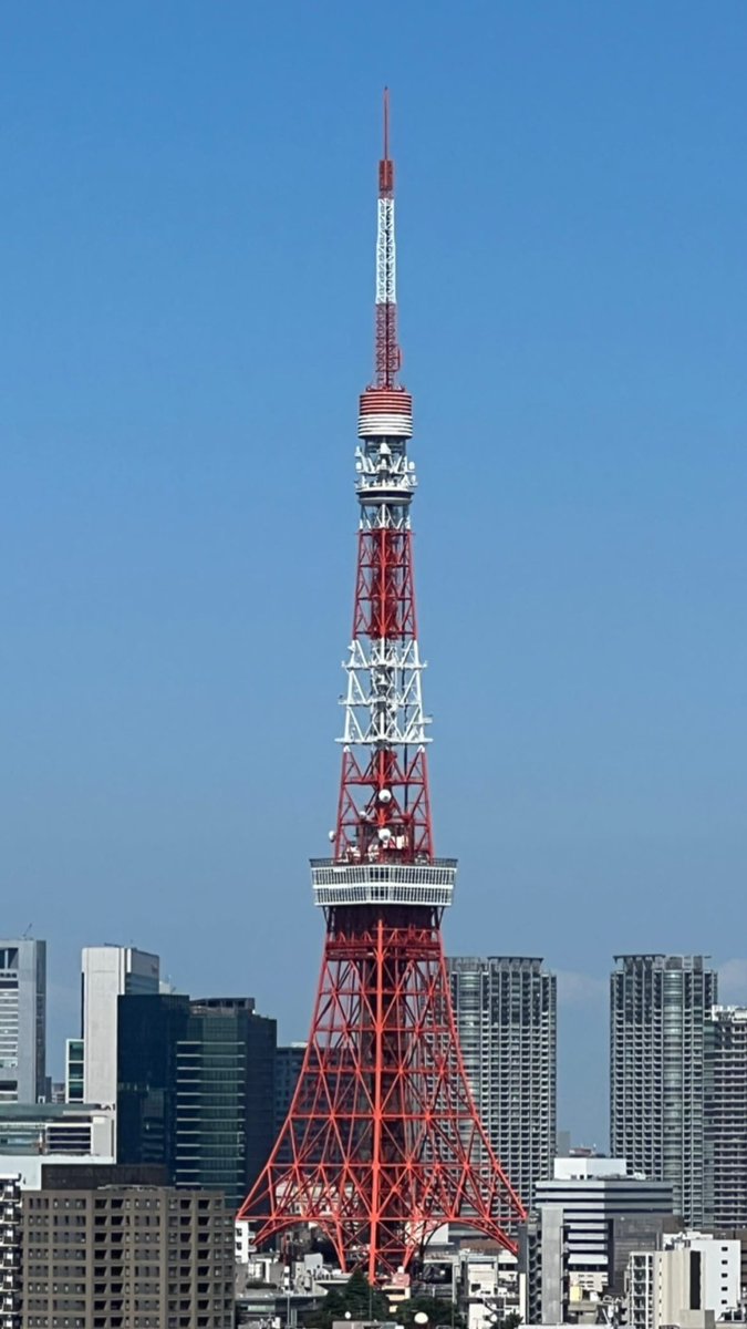 この炎天下の中水分沢山摂りながら
大量に汗かくの意外と好きだよ
週一エステ🩵今日も痛くて叫んだ https://t.co/FObuSl9vft