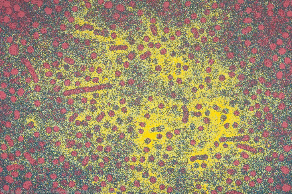 The Nobel Prize tweet media