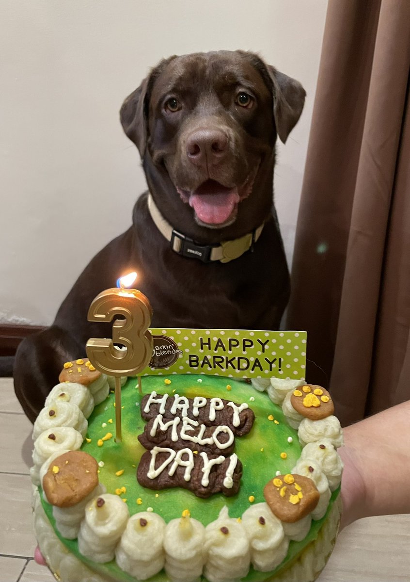 Andre Justin tweet media