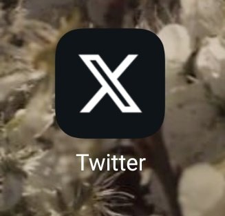 CeliaMG_12's tweet photo. Mmmm esto qué coño es??  
Dónde está el pajarito azul???????? Estoy enfadadísima https://t.co/ysT7sEAFWg