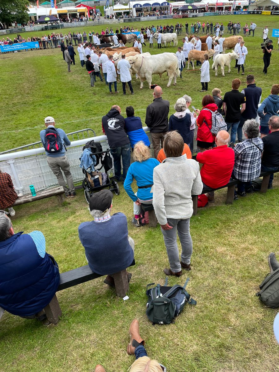 WattsCommercial's tweet photo. On Tuesday, our Senior Commercial Manager, Nathan Amey,  represented us at The Royal Welsh Show alongside Pennant Finance. Nathan enjoyed the day meeting lender partners in the agricultural sector #royalwelshshow #wattscommercial #wattstheanswer #pennantfinance https://t.co/ZlZodjvZ3Z
