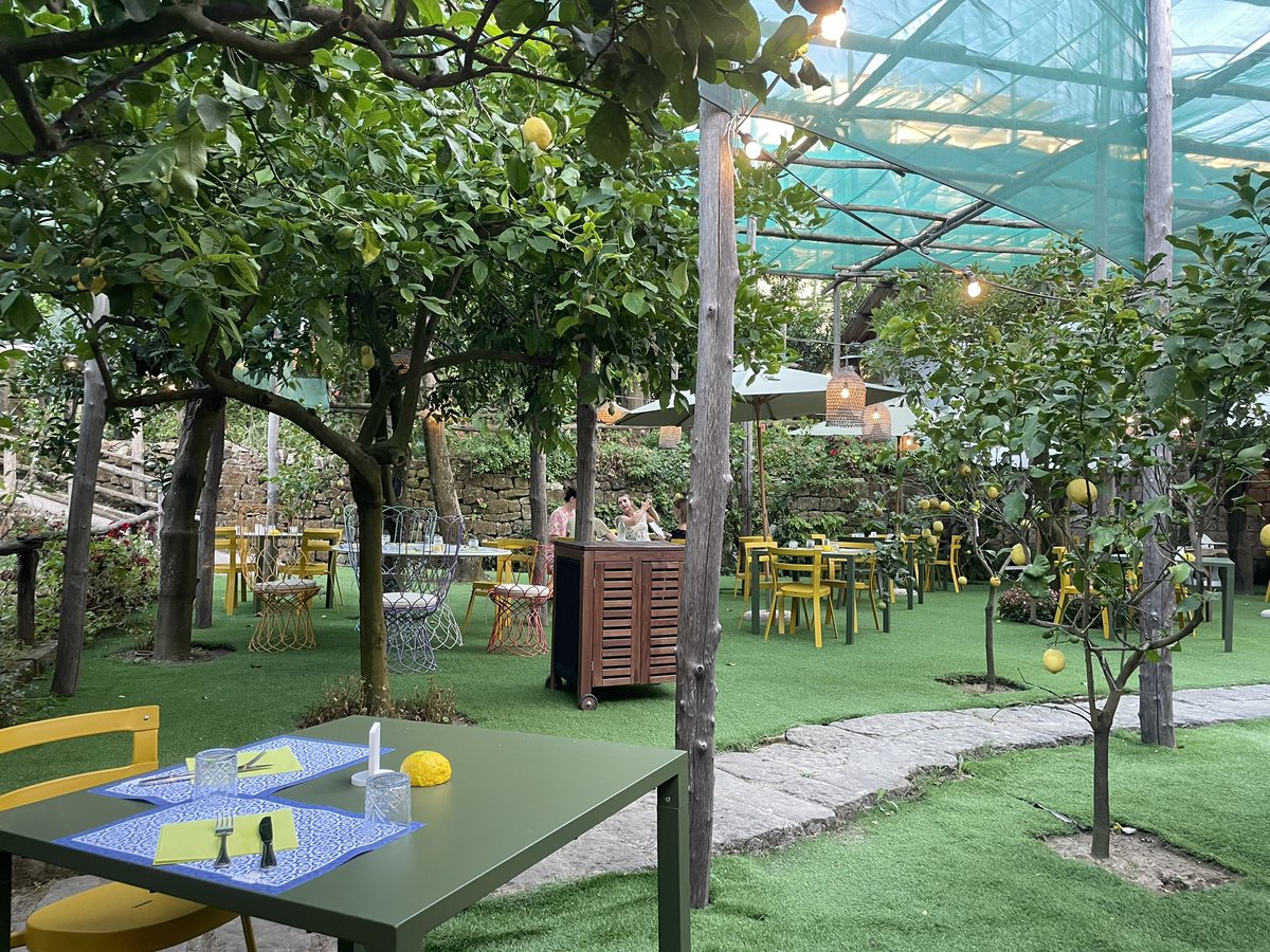 MsMiletto's tweet photo. Dinner in the lemon grove 🍋 🍽️ https://t.co/NtqGykmYHT