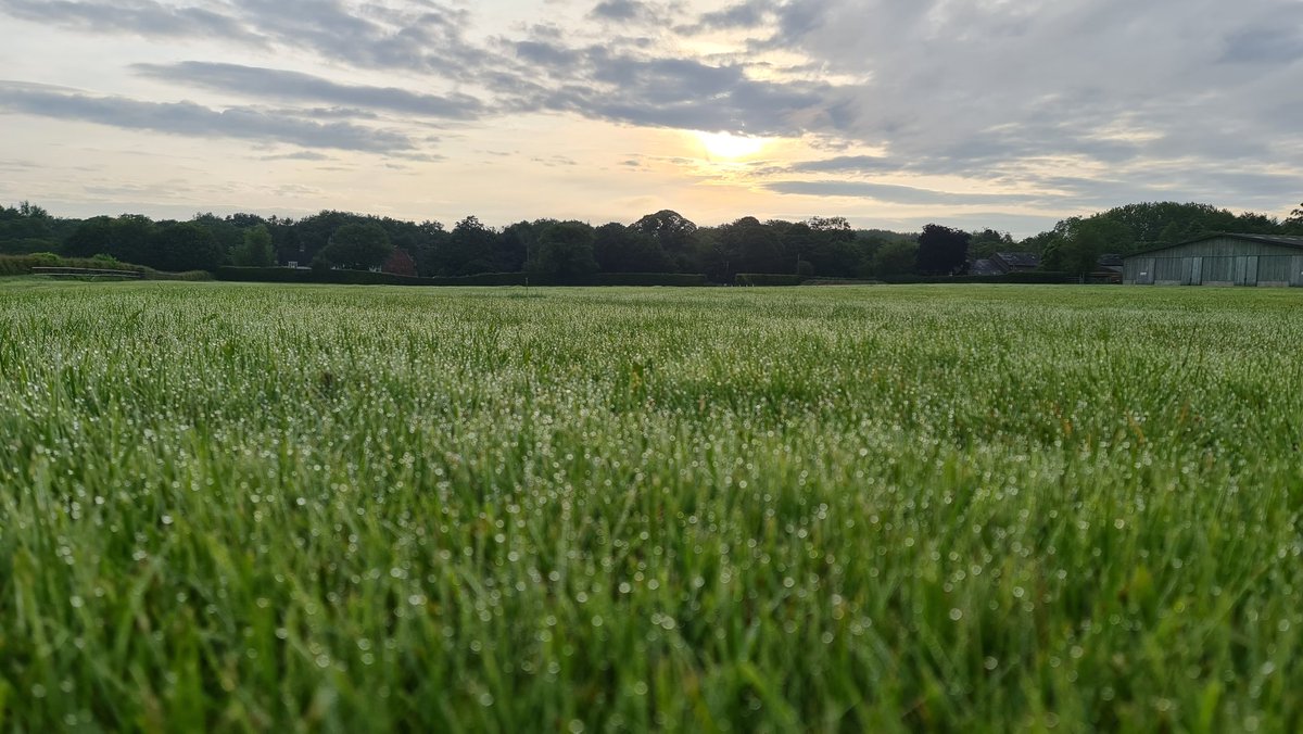 camperbats's tweet photo. It's a beautiful day for a @VW #festival! Good morning from the dawn of the first day of this years #DubbedOutCommunity fest in #cheshire! https://t.co/W5ewqgYqrE