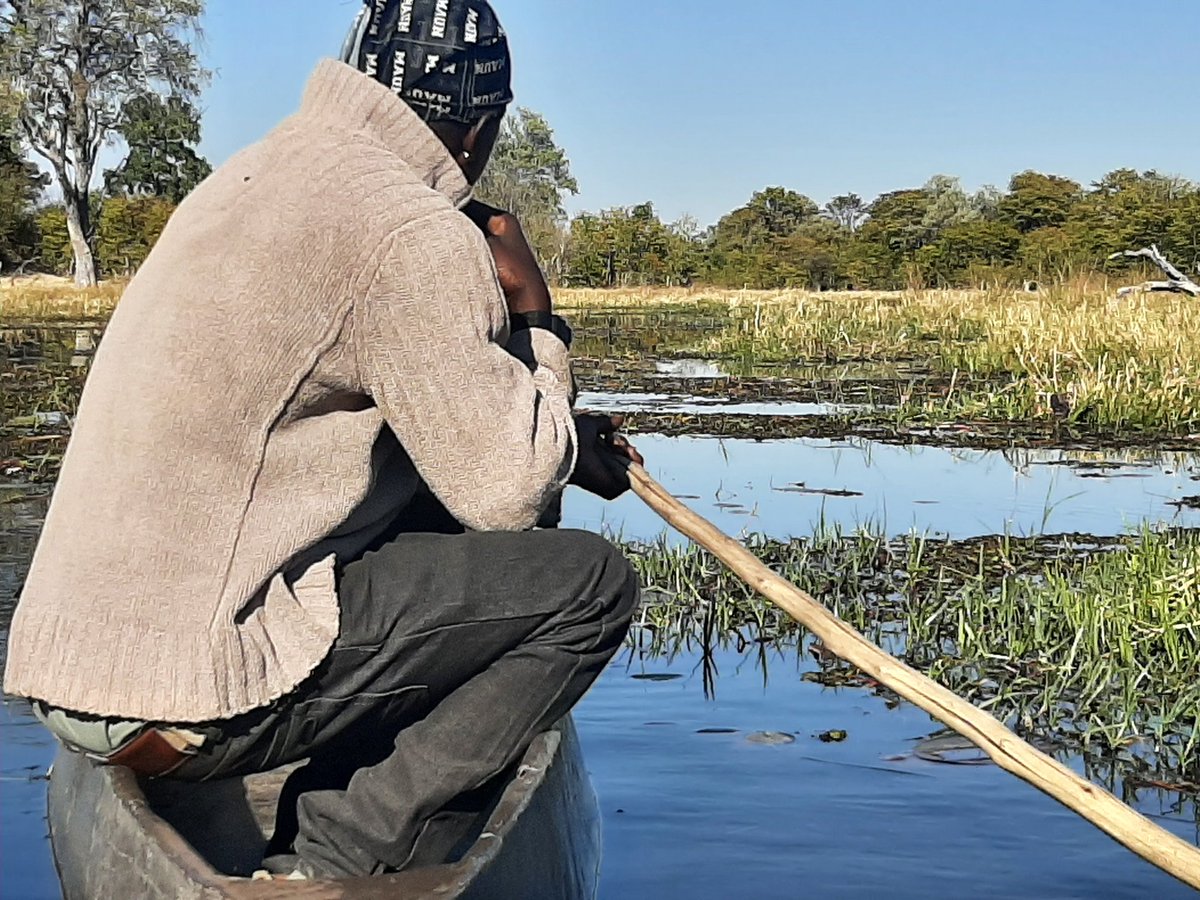 HotelInsonmia's tweet photo. El río Cubango nace en Angola y de allí cruza la frontera con #Namibia2023, donde se llama Kavango. Al llegar a #Botswana2023 se conoce como Okavango y lo lógico sería que siguiera perdiendo países y cambiando de nombre, hasta llegar al Océano Índico o unirse al Zambece. Pero no https://t.co/LEmIdVMSbU
