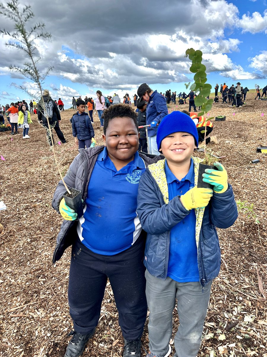 JON DEE (JonDee.com). NowOnBlueSkySocial tweet media