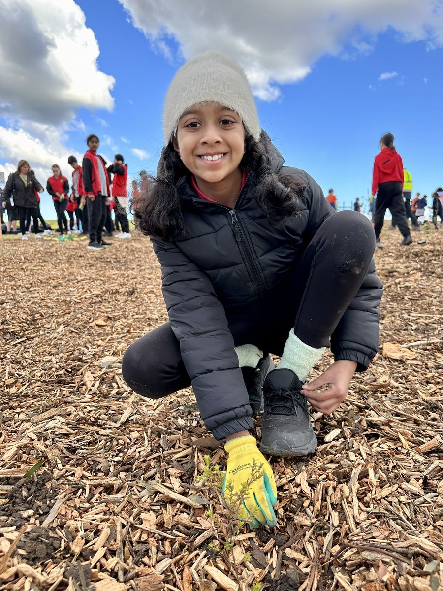 JON DEE (JonDee.com). NowOnBlueSkySocial tweet media