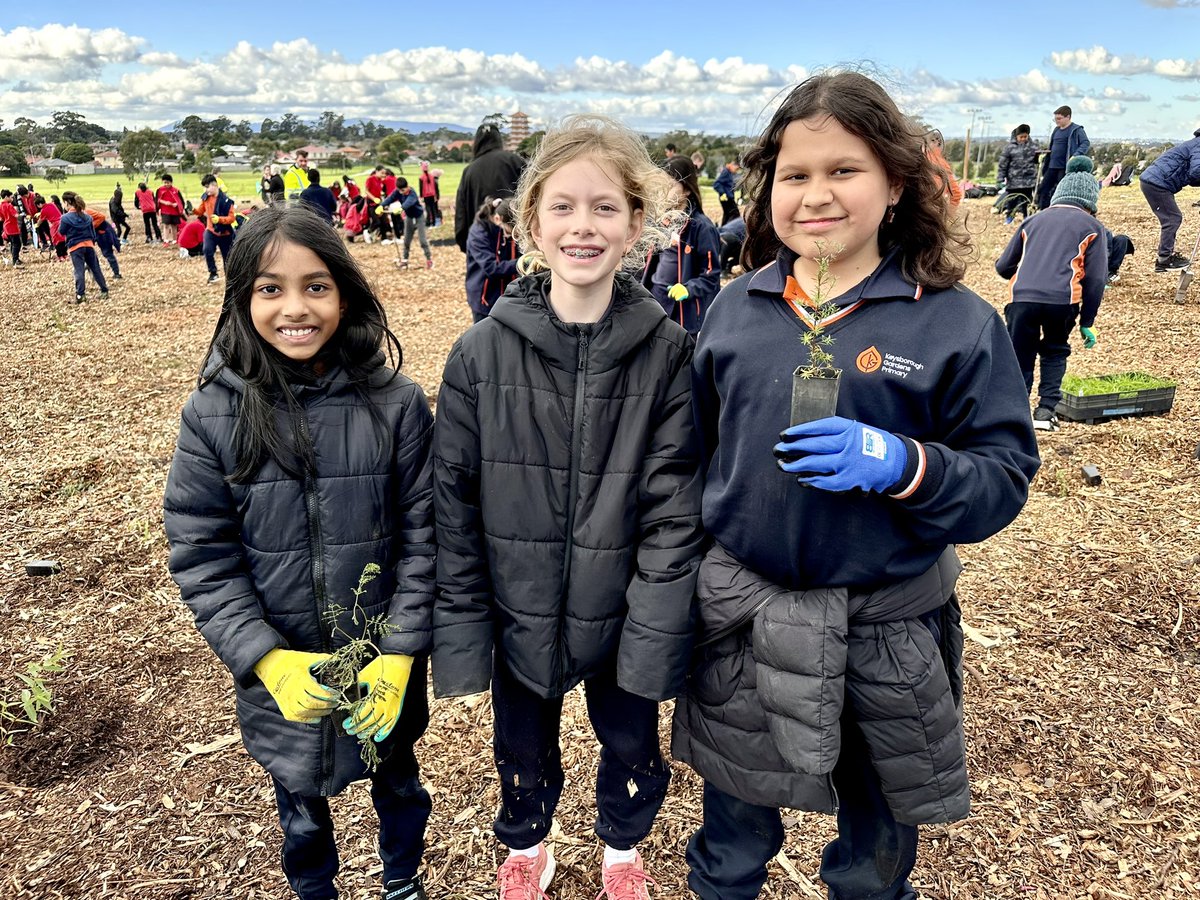 JON DEE (JonDee.com). NowOnBlueSkySocial tweet media