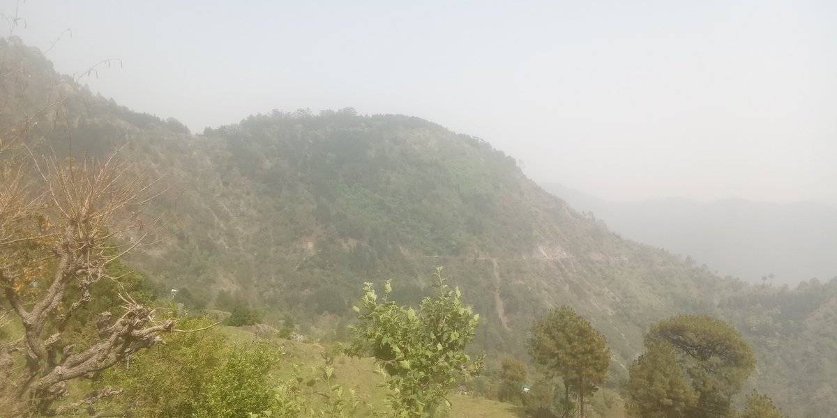 UttarakhandProp's tweet photo. Land Bajoon Khurpatal Nainital Uttarakhand

@Nainital

25 Nali for Sale in Bajoon Khurpatal Nainital      

https://t.co/cOd8C7No1F……   

#LandinBajoon #Uttarakhand #NainitalProperties #UttarakhandProperties #BajoonProperties #Nainital #Bajoon #LandforSaleinBajoonUttarakhand https://t.co/1W1XRR4Fv3