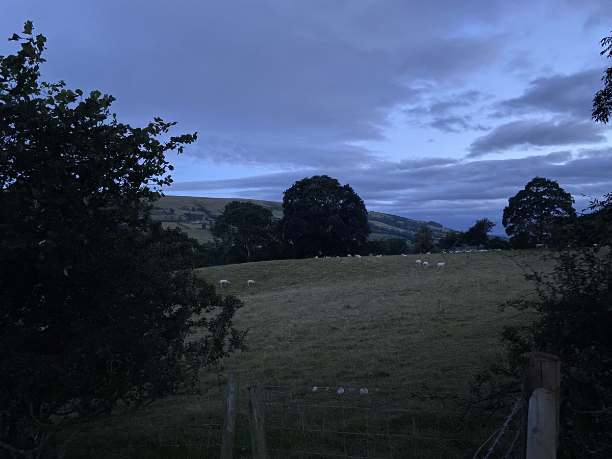 JenCarter1983's tweet photo. Beautiful Wales. Loads of walks, a happy dog and happy kids 🥰🥰 https://t.co/yJNAzs5rmx
