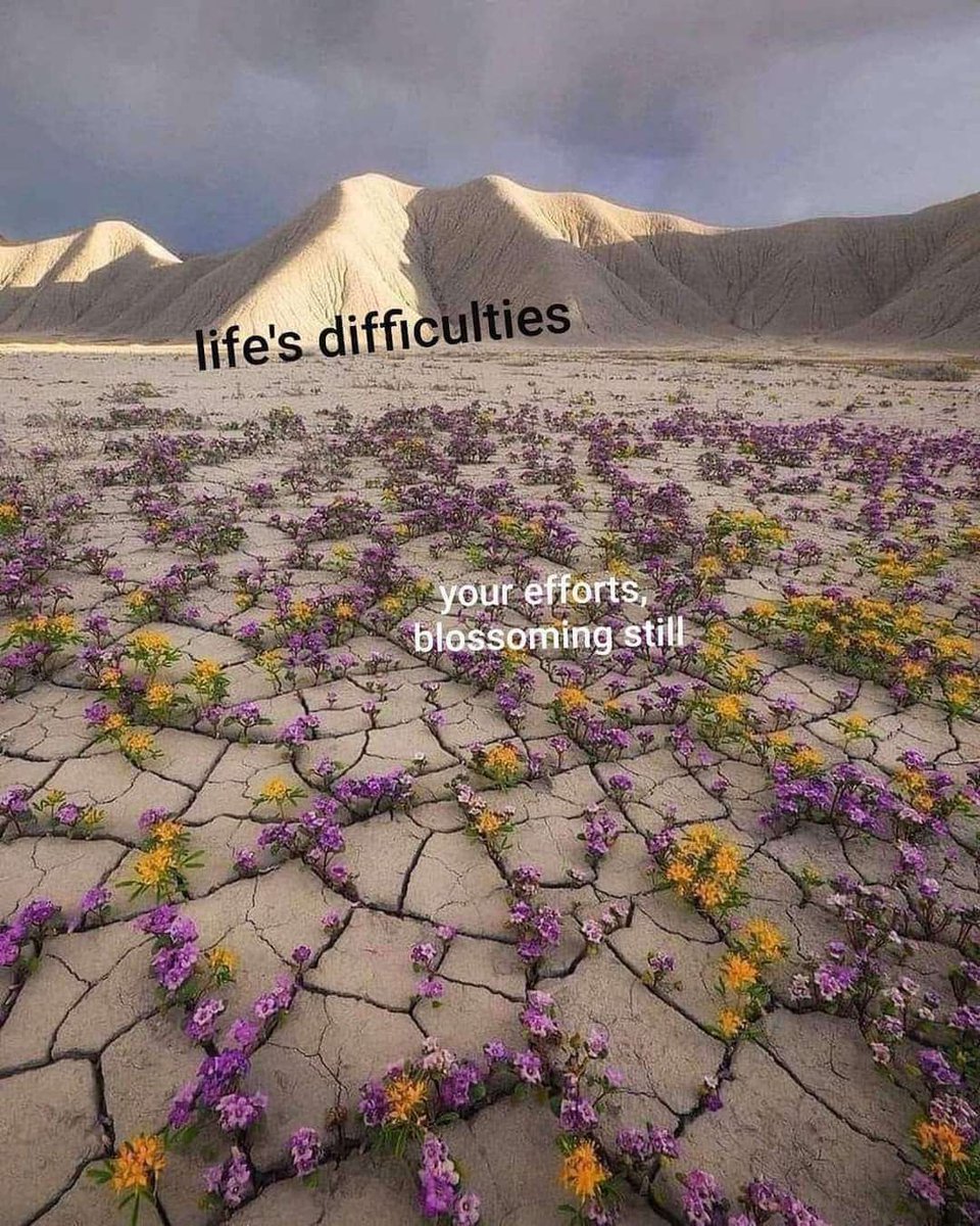 WholesomeMemes tweet media