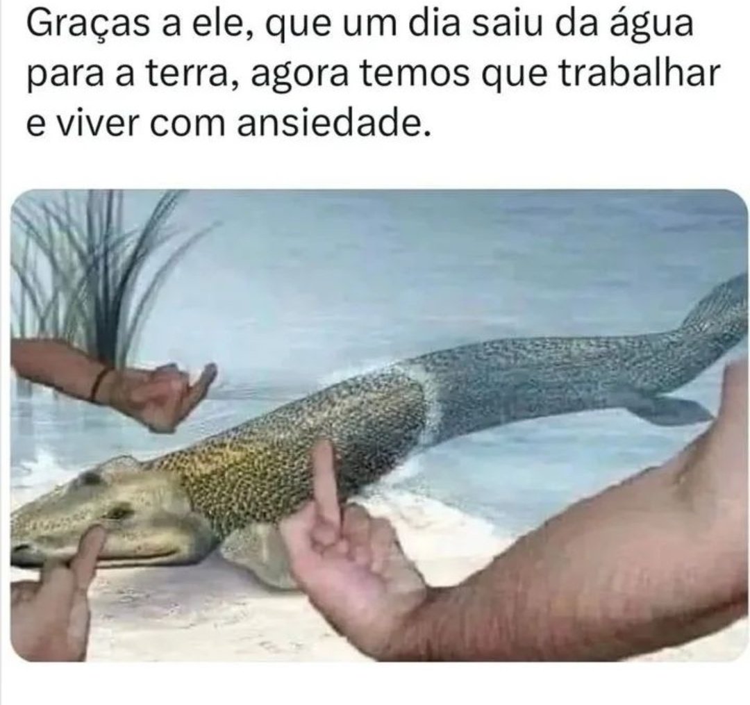 shitpostverdade's tweet photo. https://t.co/eOjbd19WiN