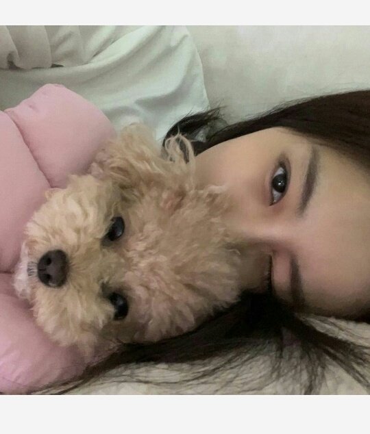 sunkisvia's tweet photo. ❀ — restarting 

hi everyone, im zy. she / her not new to stan twt looking for interactive moots , especially engenes, moa, midzy, fearnot, blinks, stay or any fandom will do. 

like and rt to spread pls ! 

thank u ♡ https://t.co/mTsIyd7PcL
