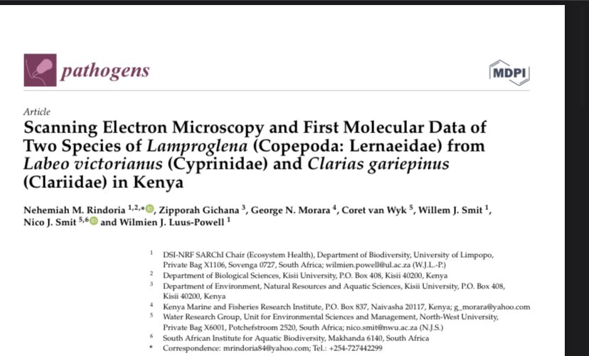 SARChIEco's tweet photo. & finally this delicious fruit is ripe .
#Lamproglena #FishParasite from #KenyaFish #Labeo species
Using #ScanningElectronMicroscopy & molecular study
In @Pathogens_MDPI
https://t.co/miQLyiOjrQ
#LakeVictoria #FishParasites
#KenyaParasites #FishHealth @parsaAFRICA https://t.co/dDJXvMrCbu