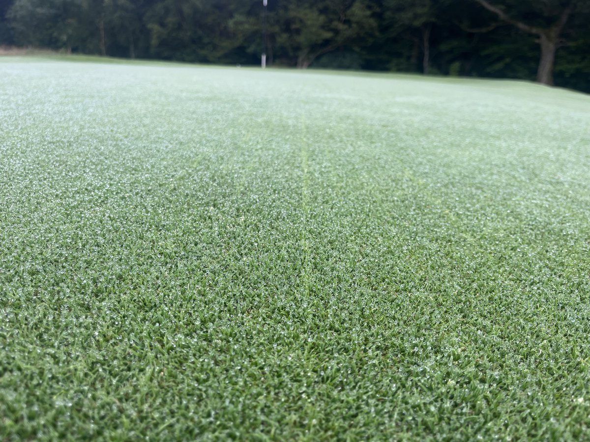 Getting good germination after 11 days. <a href="/AirdrieGolf/">Airdrie golf club</a>