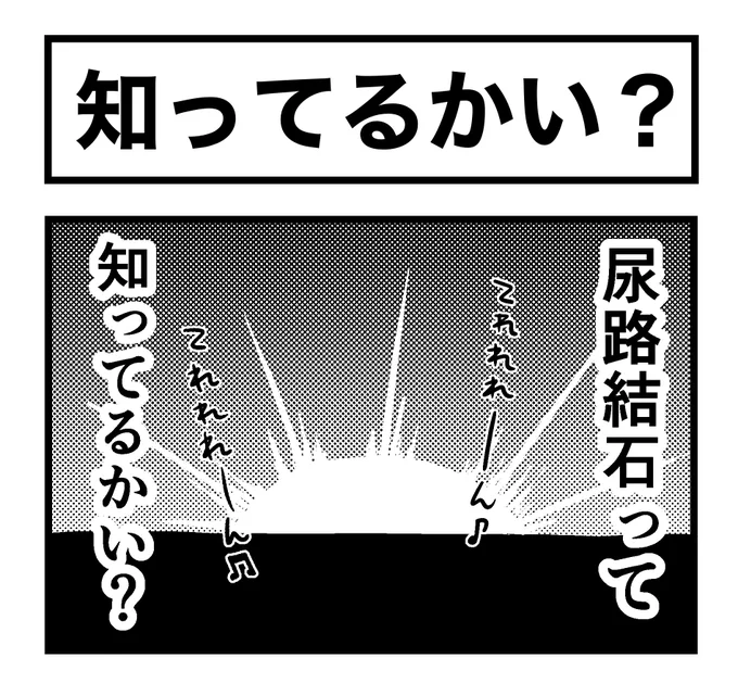尿路結石って知ってるかい? 