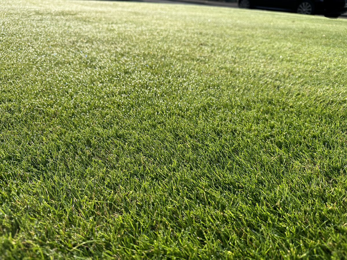 We do believe that is sunlight on our lawn this morning. We almost forgot what sunlight looked like it’s been so cloudy this month. 

East Kilbride 

July Rainfall 2021 - 30mm

July Rainfall 2022 - 61mm

July Rainfall 2023 - 121mm so far