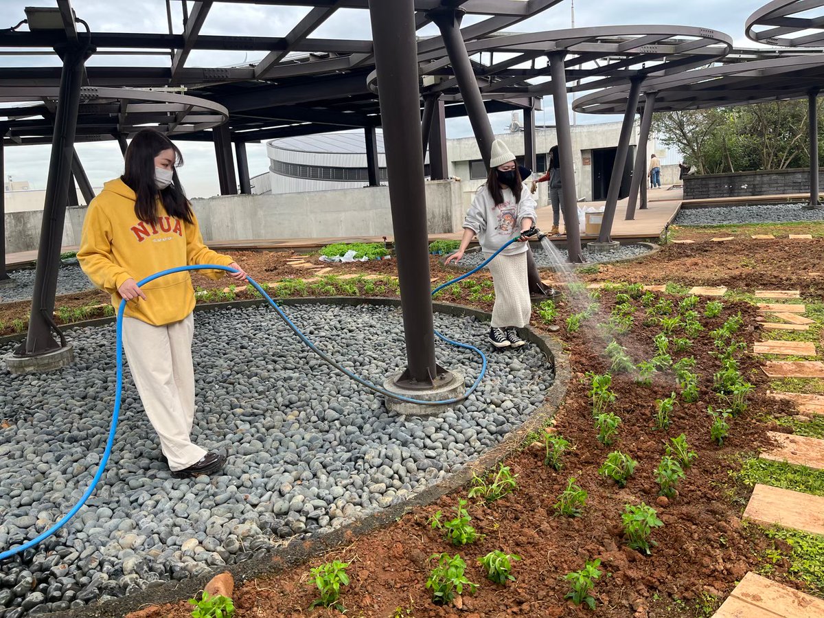 OrightOfficial's tweet photo. Welcome to the O'right Green Headquarters, where we have a delightful spot known as the SkyFarm.

Our staff gets to experience a farmer's life here, finding stress relief and the joy of green thumbs! 

Each little plant receives our loving care💚
#TogetherGreener https://t.co/CG9JdvOrcA