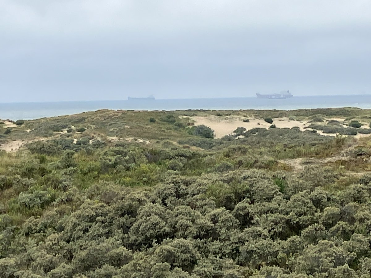 witblok's tweet image. #hardlopen wassenaarseslag. @staatsbosbeheer . Schitterend. Anti-tankwal (die opeens ophield). 😂👍