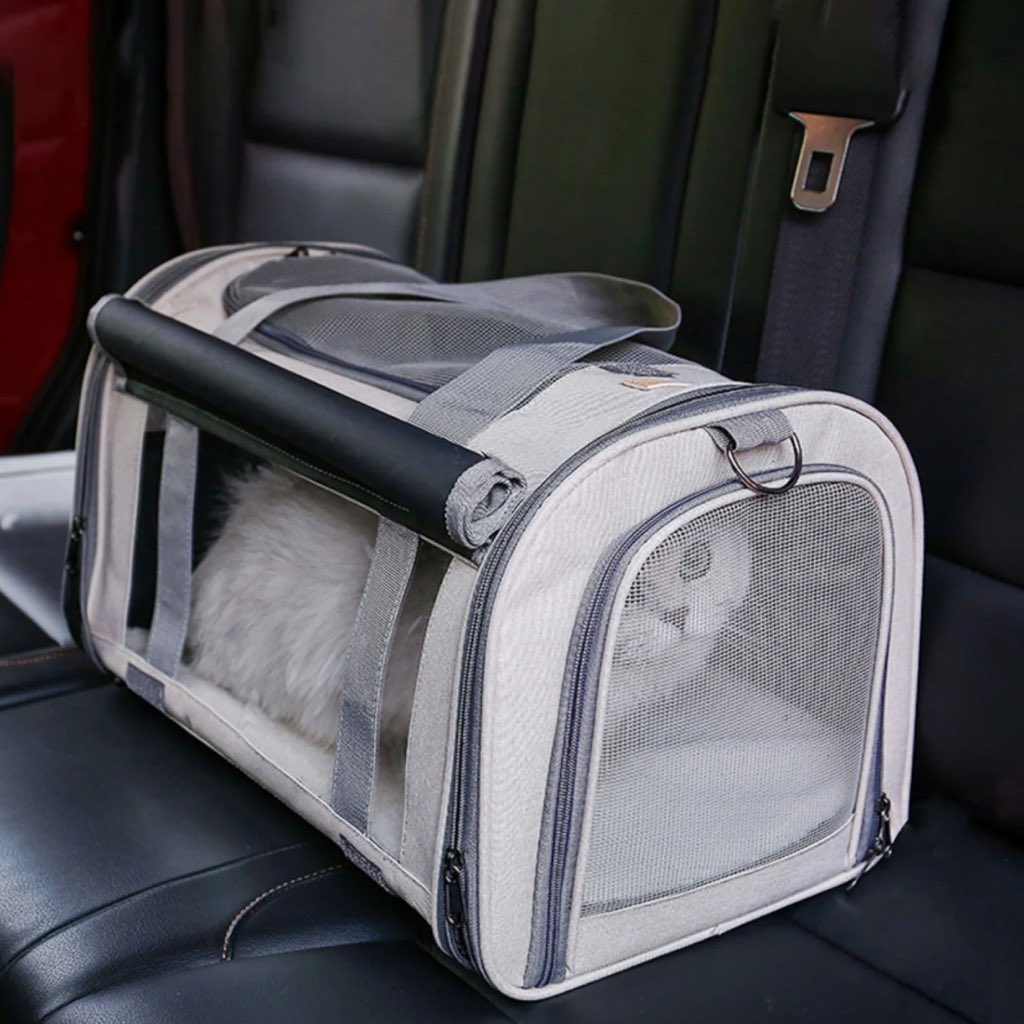 PETSPETSCS's tweet photo. Adorable
💗
Time spent with cat is never a waste. 🐱

· Portable Canvas Cat Carrier-Large Capacity ·
🐶 SHOP NOW 🐱 LINK IN MY BIO ⬆️ Shiping ✈️🚢🌍

#petspets #airlinecarrier #pet #cat #kitty #aircraft #check #pethospital https://t.co/NXpO4HIBsh