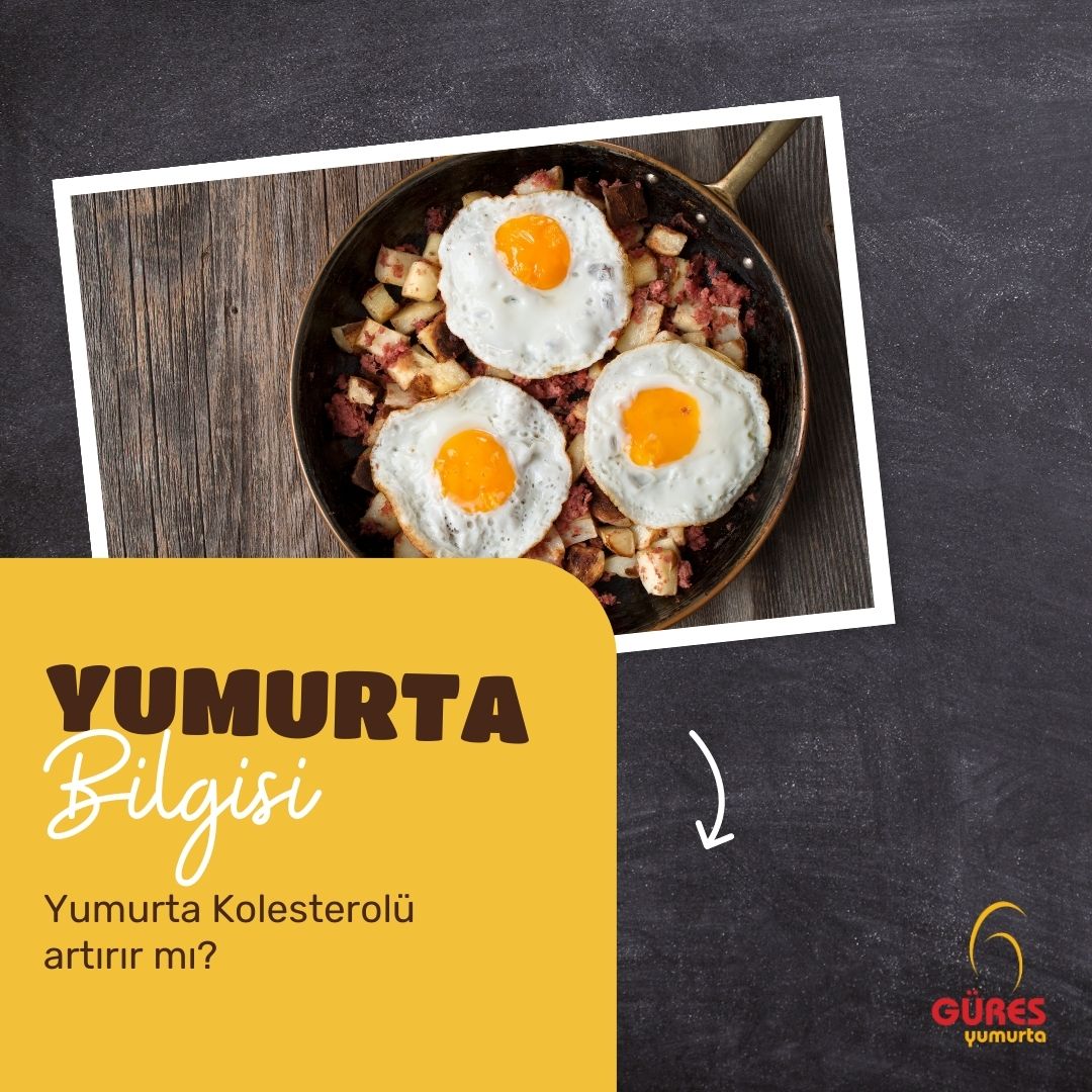 Sağlıklı bir insanın günde 300 miligram kolesterol alması gerekir. Bir yumurta sarısında yaklaşık 200 miligram kolesterol bulunuyor, beyazında ise kolesterol ve yağ bulunmuyor. 

#GüresYumurta #kolesterol #yumurta #yumurtanınfaydaları #fitolmak #sağlıklıbeslenme #sağlıklıtarifler