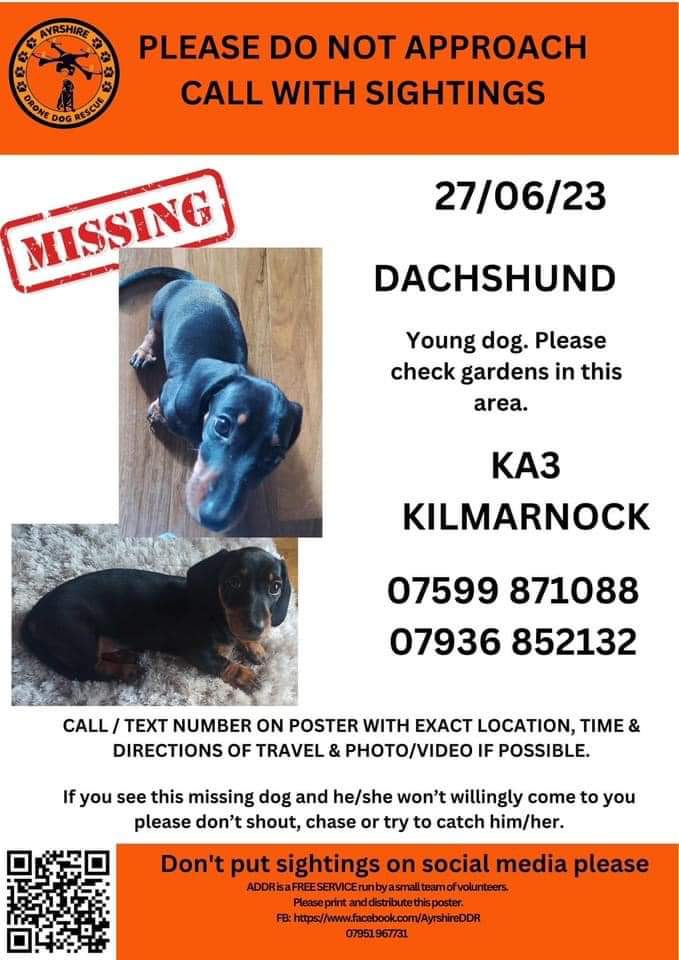 beautys_legacy's tweet photo. Charlie is still missing. 
Please keep searching and contact us with any info. 
#findcharlie #dachshund #sausagedog 
@reallorraine @ChrisGPackham @MichAckerley @RavWilding @clarebalding @bbcstudios @BBCMorningLive @gm https://t.co/irXVxkuOlU