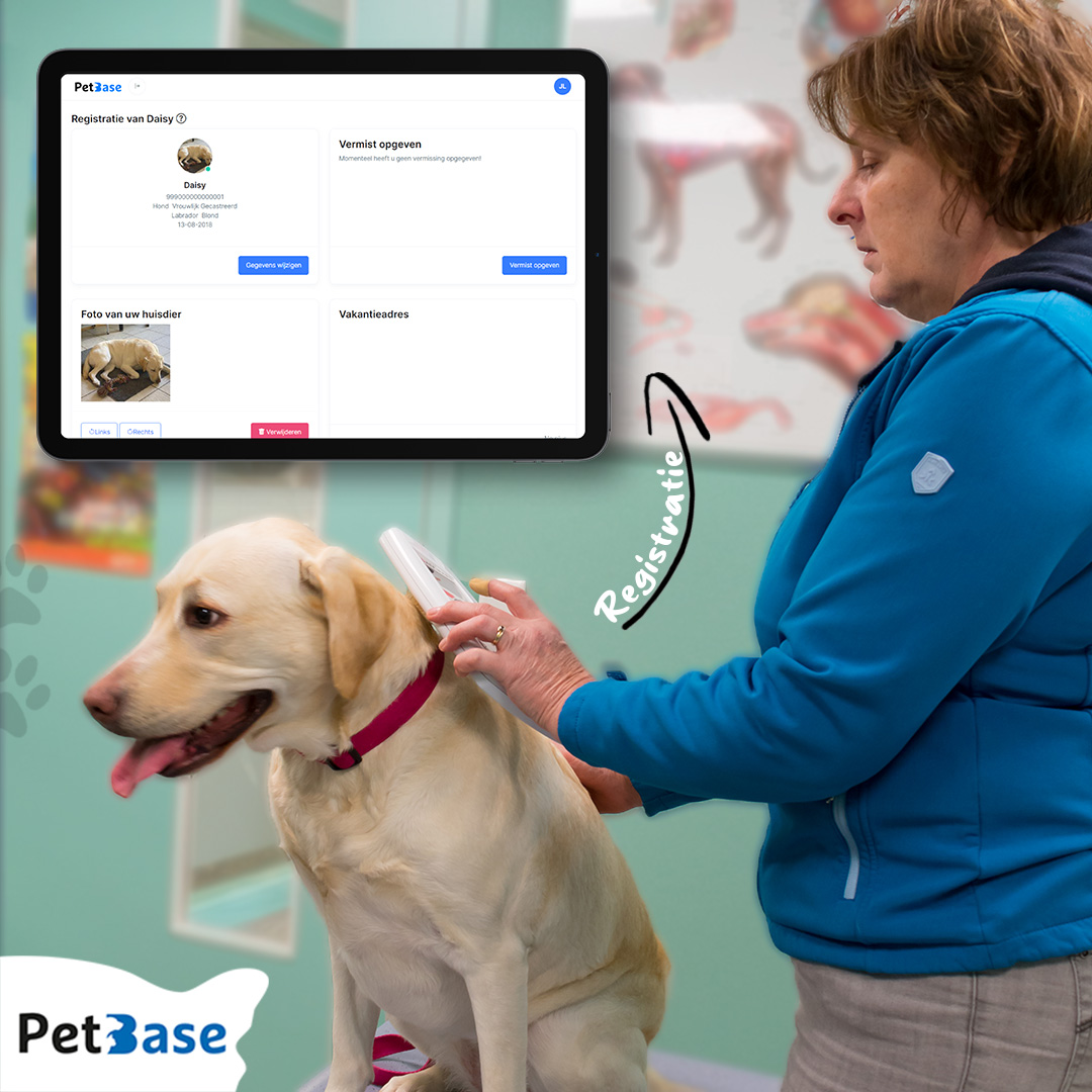 PetBase's tweet image. Controleer de registratie van je dier! Zorg voor hun veiligheid, identificatie en neem verantwoordelijkheid. Log in op je PetBase-account of zoek op chipnummer op petbase.eu/gegevens-wijzi…. 

Update indien nodig de gegevens van je huisdier. 🚨🐾