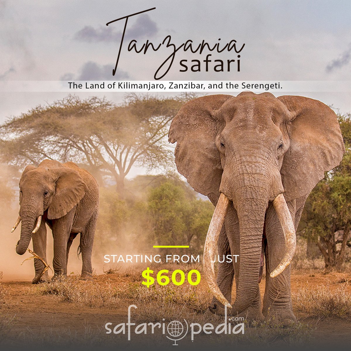 Safariopedia_'s tweet image. Embark on a journey of wonder and discovery in Tanzania's untamed wilderness: Discover the Best Safari Experiences and Secure Your Reservation with Ease on our Top-rated Safari Booking Platform!

Book Now: shorturl.at/rsv18

#SafariDreams #RoamingFree #JungleJourneys