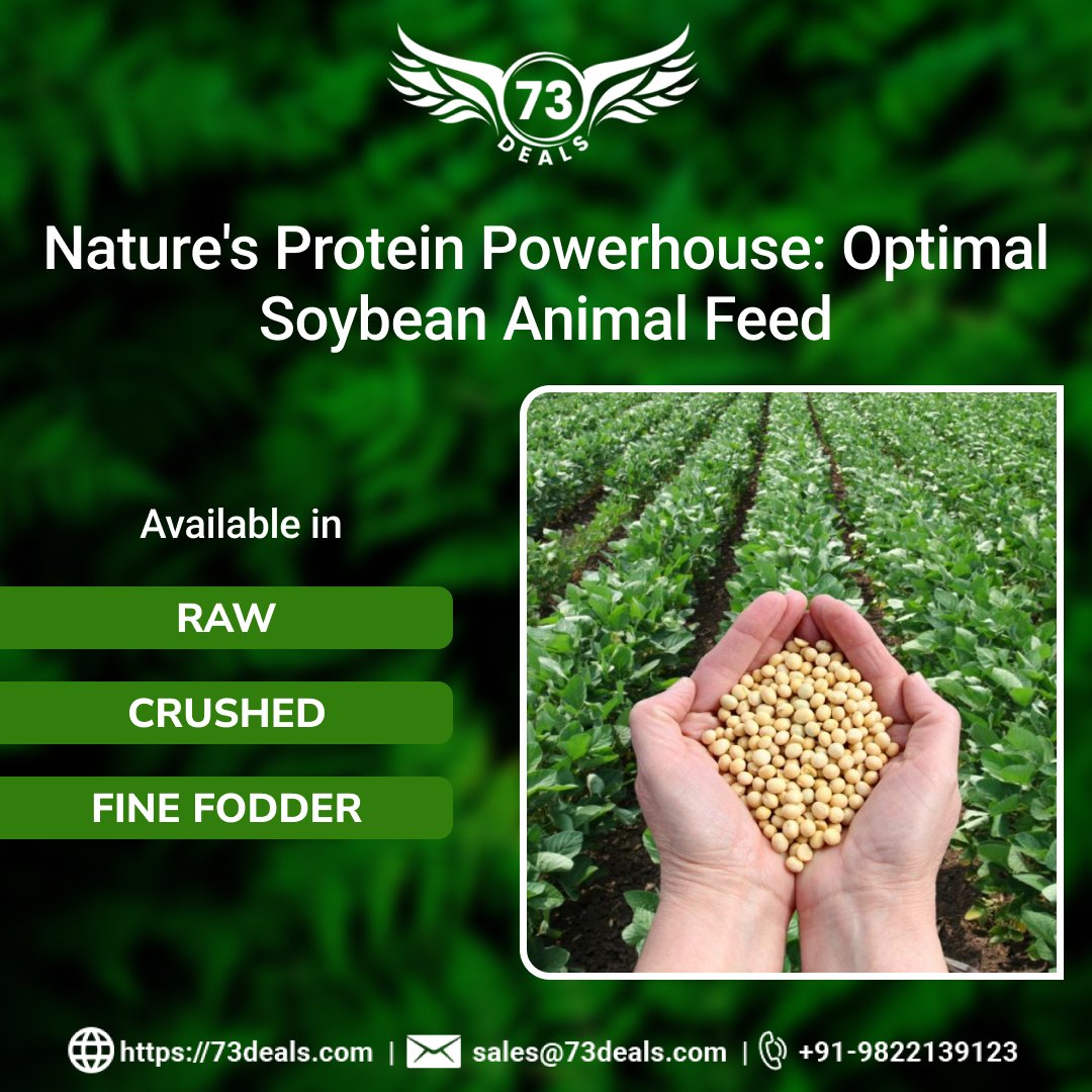73Deals's tweet photo. 🌱 Fueling Healthy Livestock!
Our soybean-based animal feed is a natural choice for strong and happy animals.🌾
📞 +91 9822139123
📩 sales@73deals.com
🌐 https://t.co/smIZElylpy
#SoybeanFeeds #QualityFeedSupplements #ExportBusiness #soyabean #CornFeed #AnimalHealth #Business https://t.co/wBLHTJ94DZ