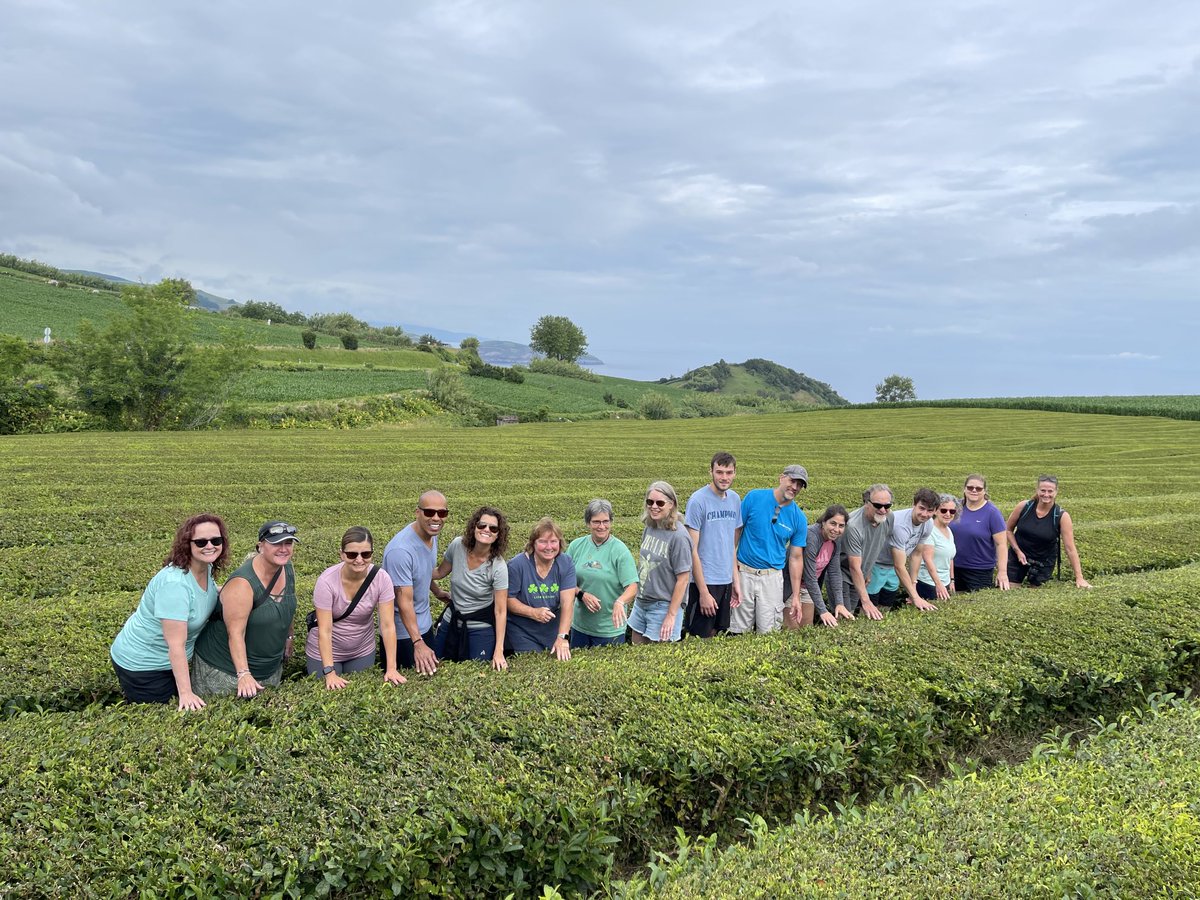 Elizabeth Dore tweet media