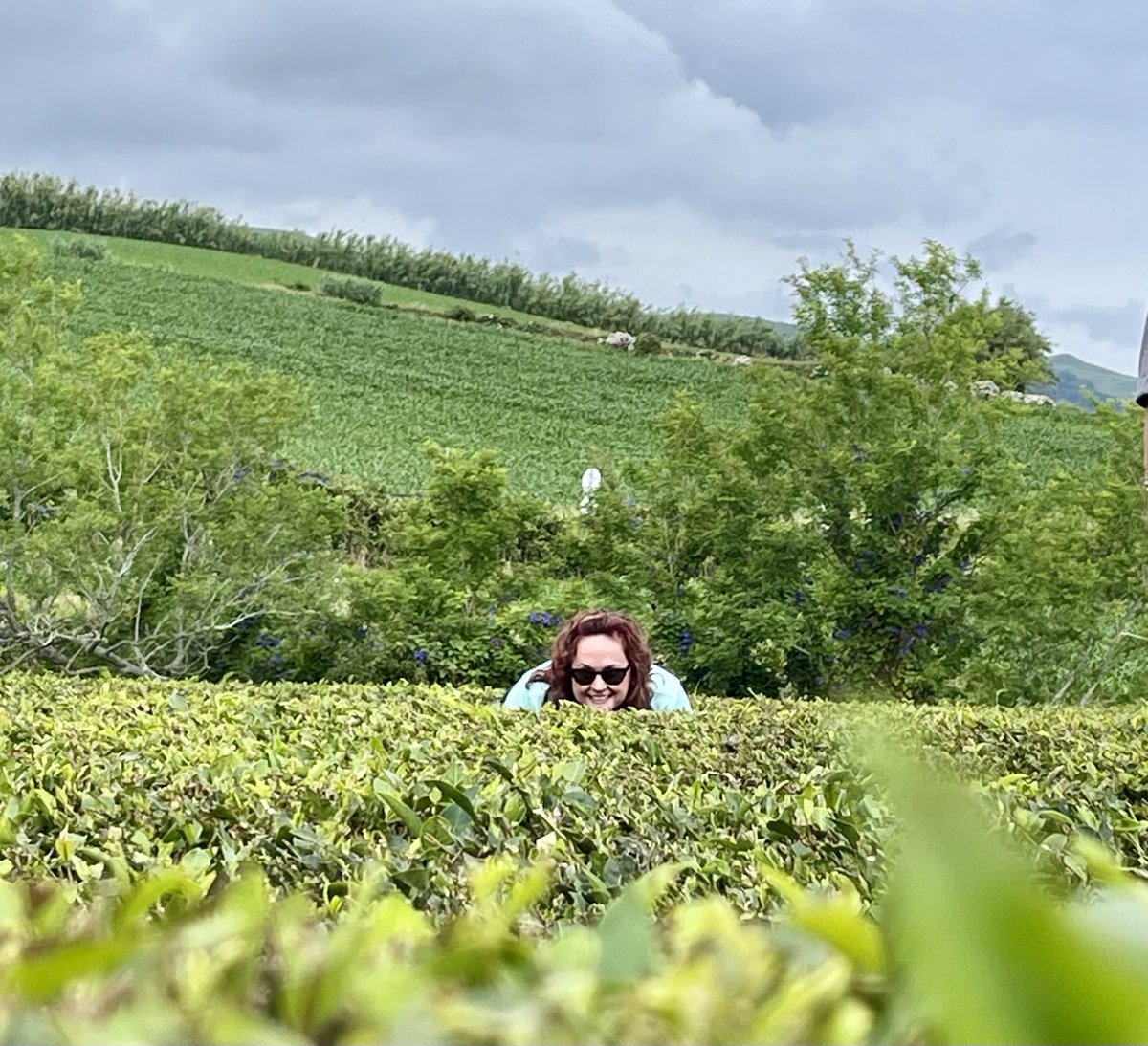 Elizabeth Dore tweet media