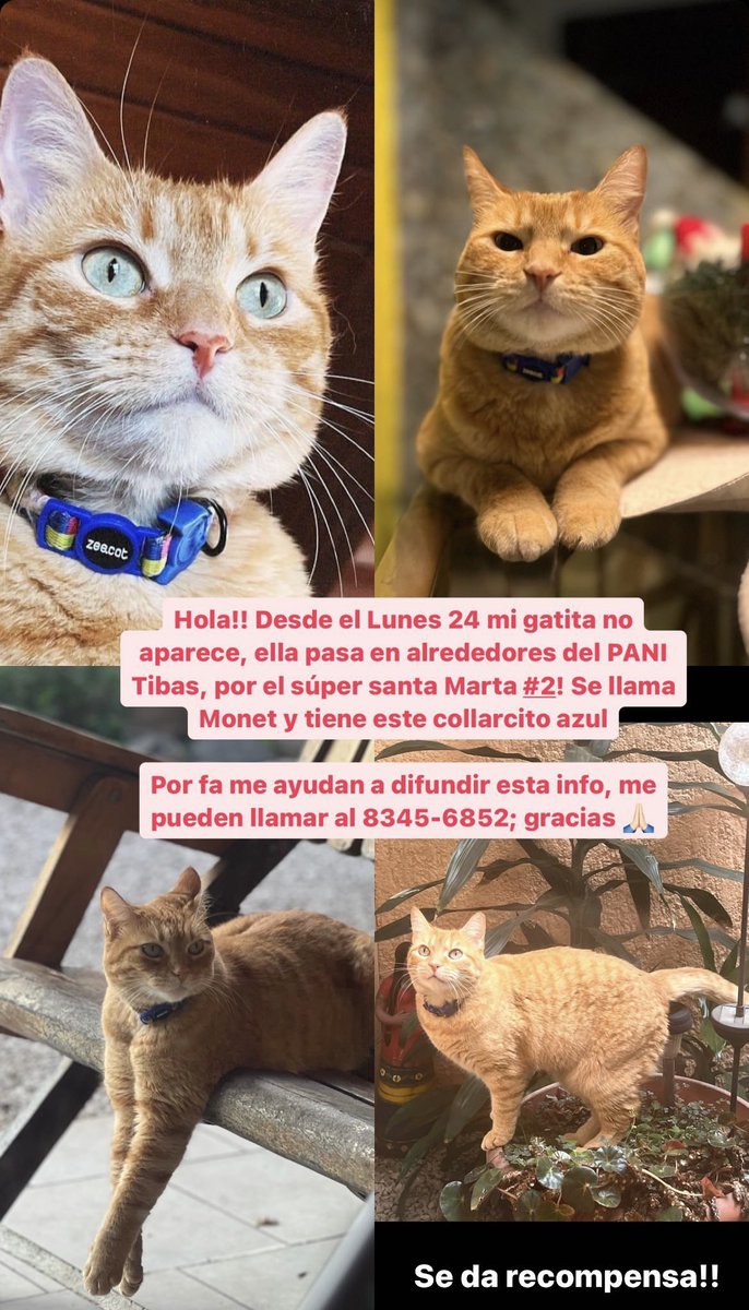 porfaaa darle rt!!!!!