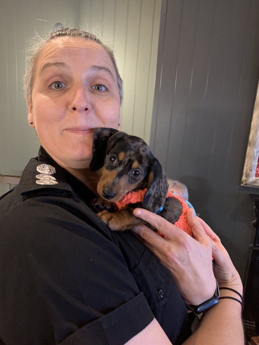 Etty Greenhouse (Eve) tweet media