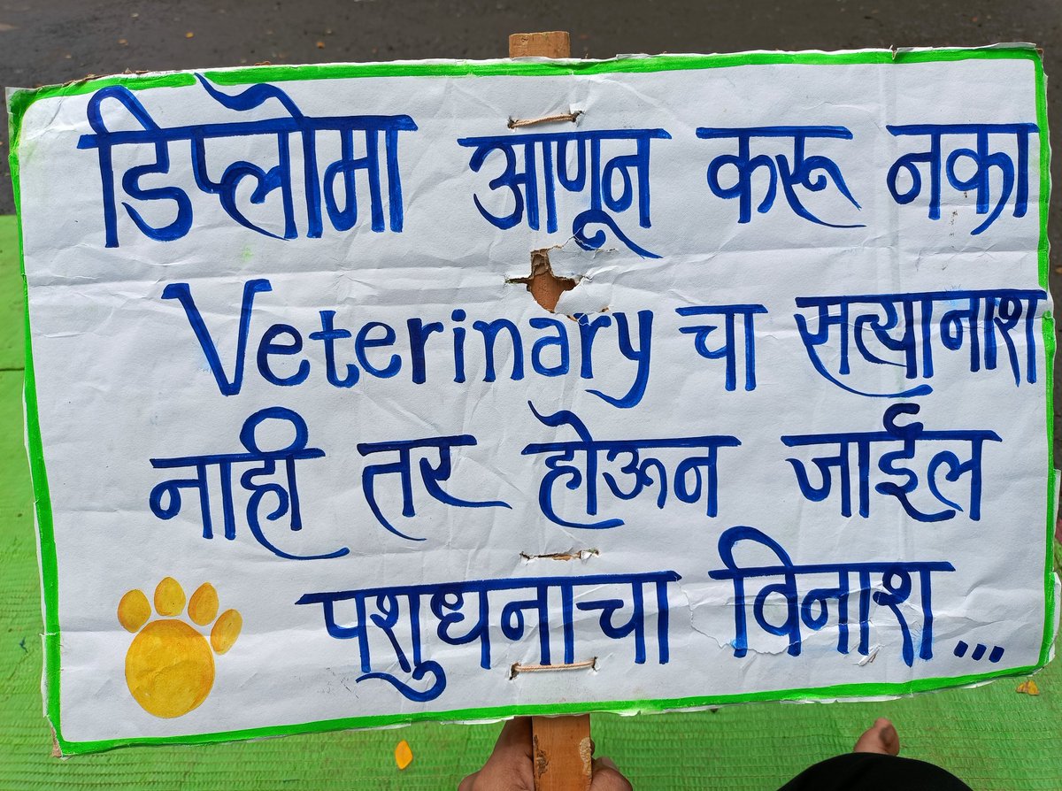 TSDeshmukh2510's tweet photo. महाराष्ट्र सरकार १२वी नंतर डिप्लोमा कोर्स सुरू करत आहे. डिप्लोमा पूर्ण करणारे बोगस अर्धवट डॉक्टर हे पशुपालक शेतकरी व मुकी जनावरे यांच्या साठी धोकादायक आहेत. महाराष्ट्राला बोगस पदवीका डिप्लोमा कोर्स पूर्ण करणारे डॉक्टर नकोय..
@CMOMaharashtra @Dev_Fadnavis @RRPSpeaks @RVikhePatil https://t.co/rwS8CZSjKr
