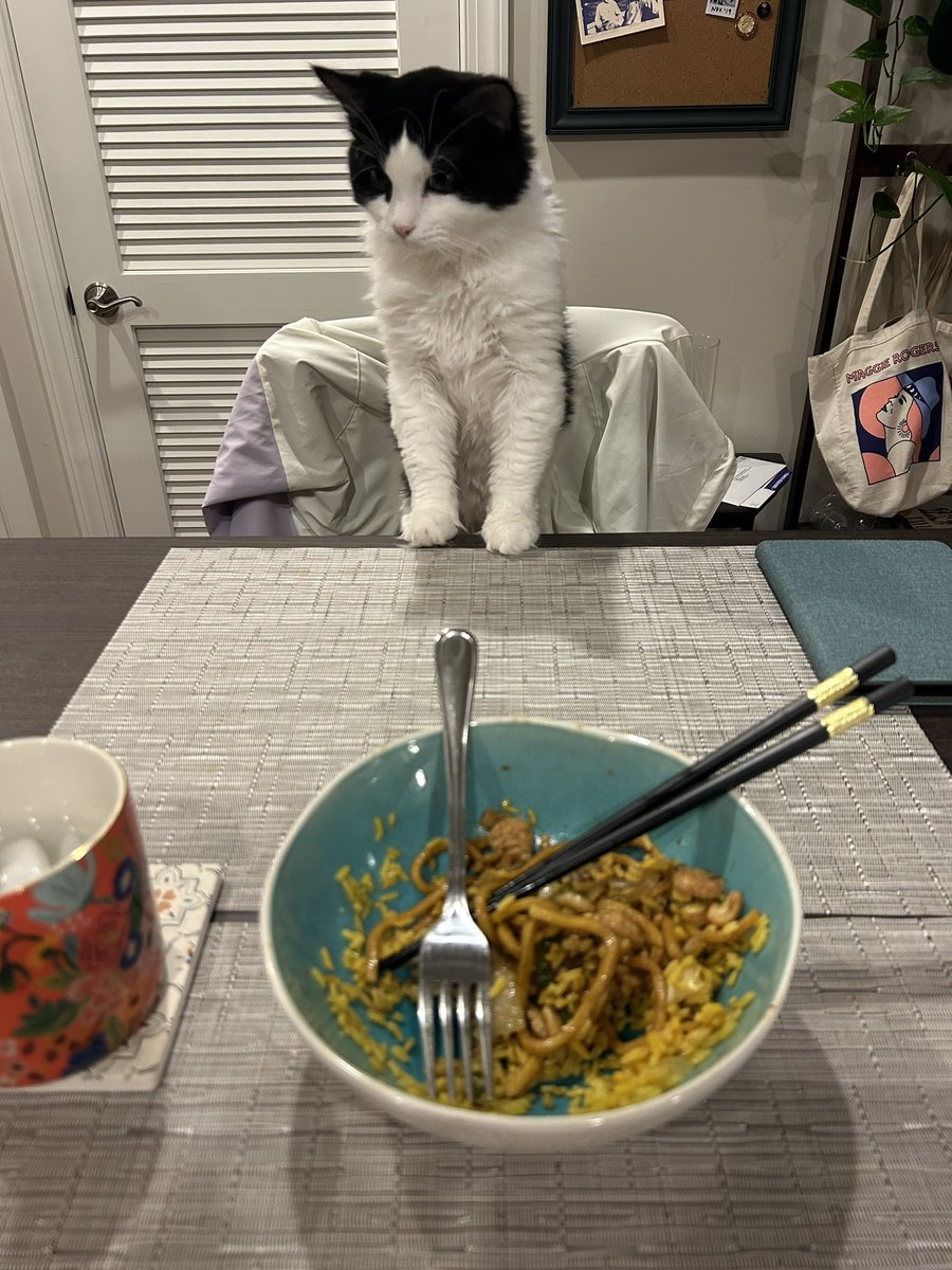 RobinLYeh's tweet photo. Anyone else’s cat feel the need to eat every meal with their owner? https://t.co/XVTKD8N1ay