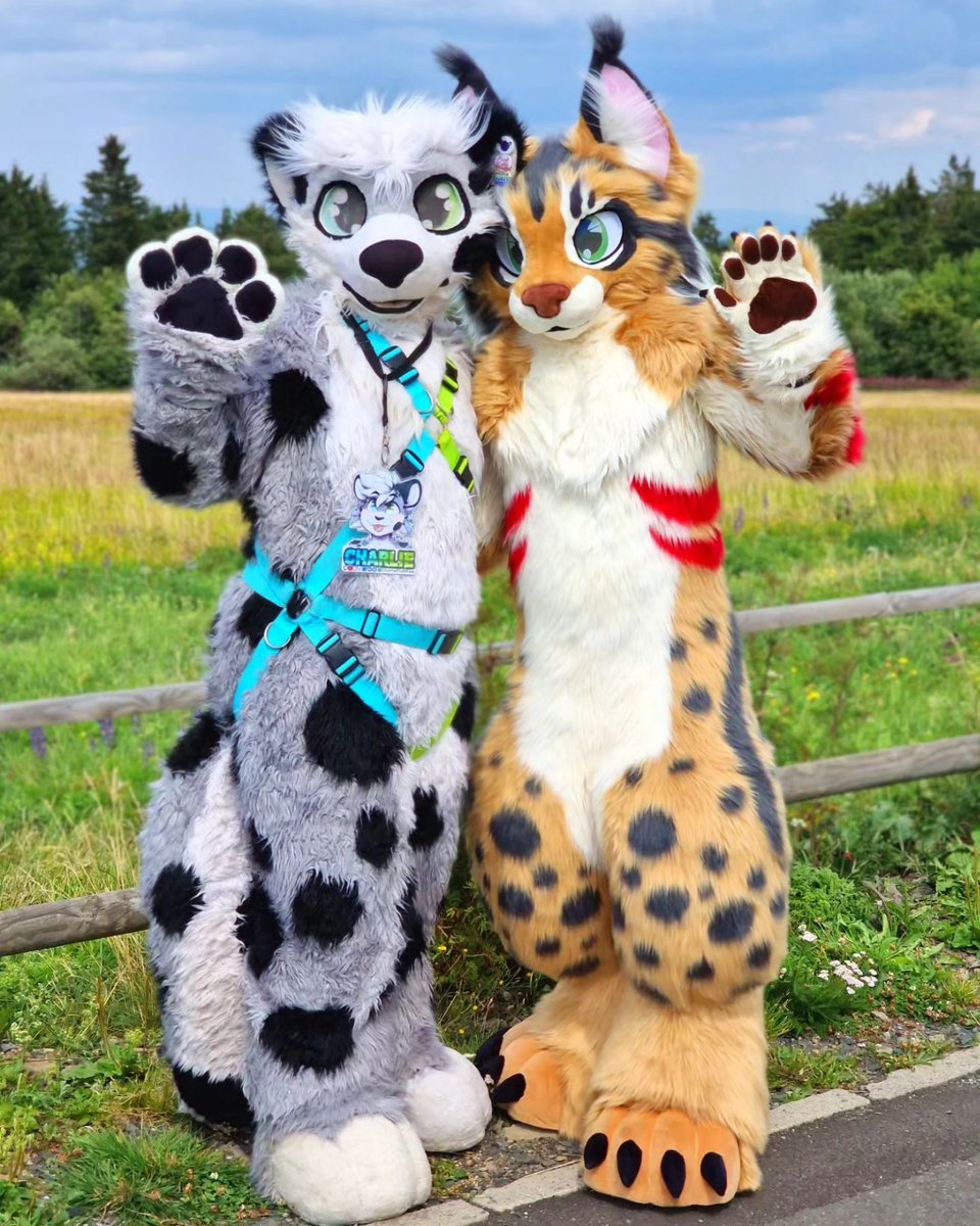 AkiraSwoops's tweet photo. Happy #FursuitFriday to all cuties the cuties here 🥰
More pics from the #Fa2P walk last saturday.
.
.
.
#furry #furryfandom #furries #fursuit #fursuits #fursuiter #fursuiters #snep #snowleopard #cat #catfursuit #pkmn #pokemon #pokesuit #pokemonfursuit #freundeauf2pfoten https://t.co/OGHrkXeIBU