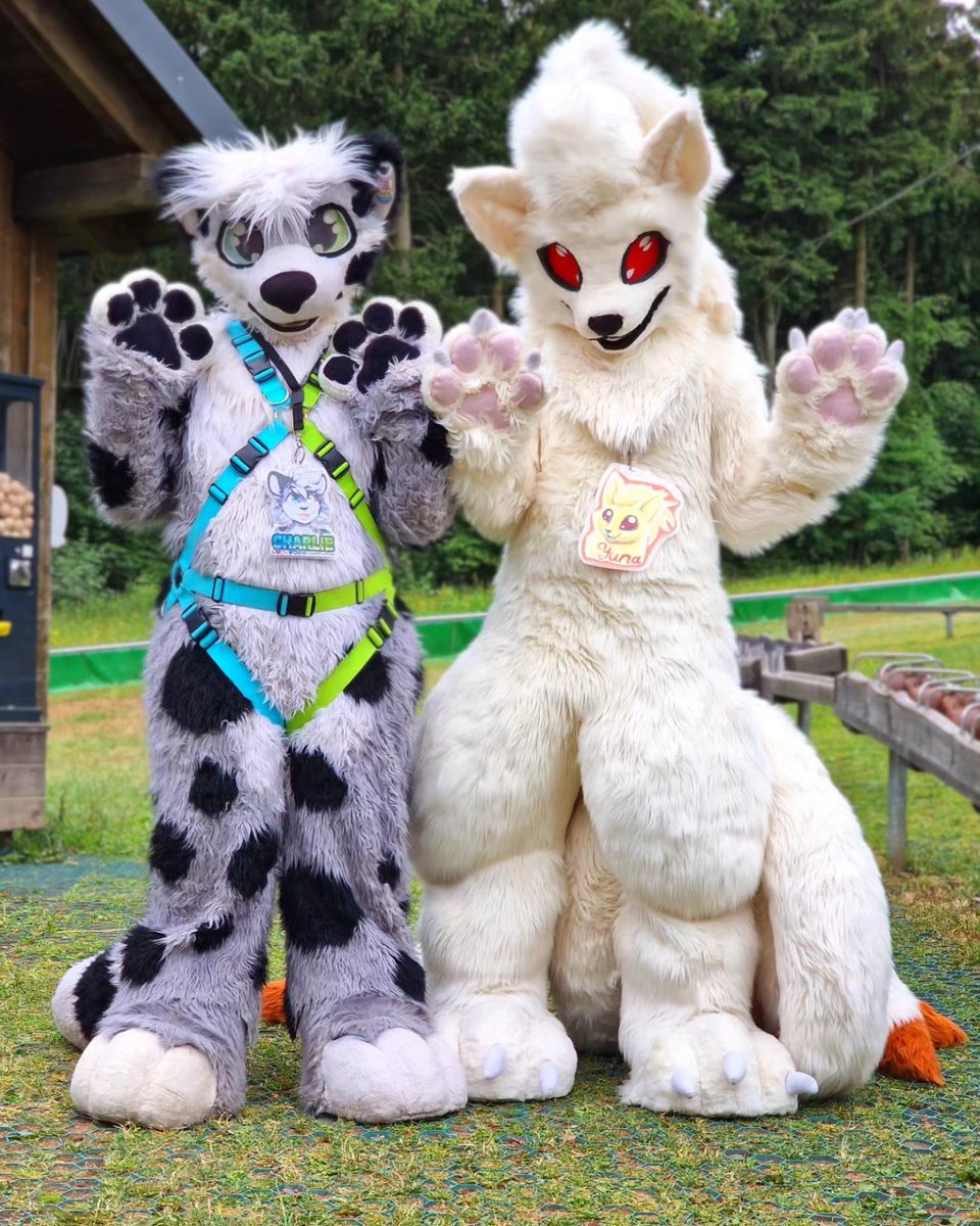 AkiraSwoops's tweet photo. Happy #FursuitFriday to all cuties the cuties here 🥰
More pics from the #Fa2P walk last saturday.
.
.
.
#furry #furryfandom #furries #fursuit #fursuits #fursuiter #fursuiters #snep #snowleopard #cat #catfursuit #pkmn #pokemon #pokesuit #pokemonfursuit #freundeauf2pfoten https://t.co/OGHrkXeIBU