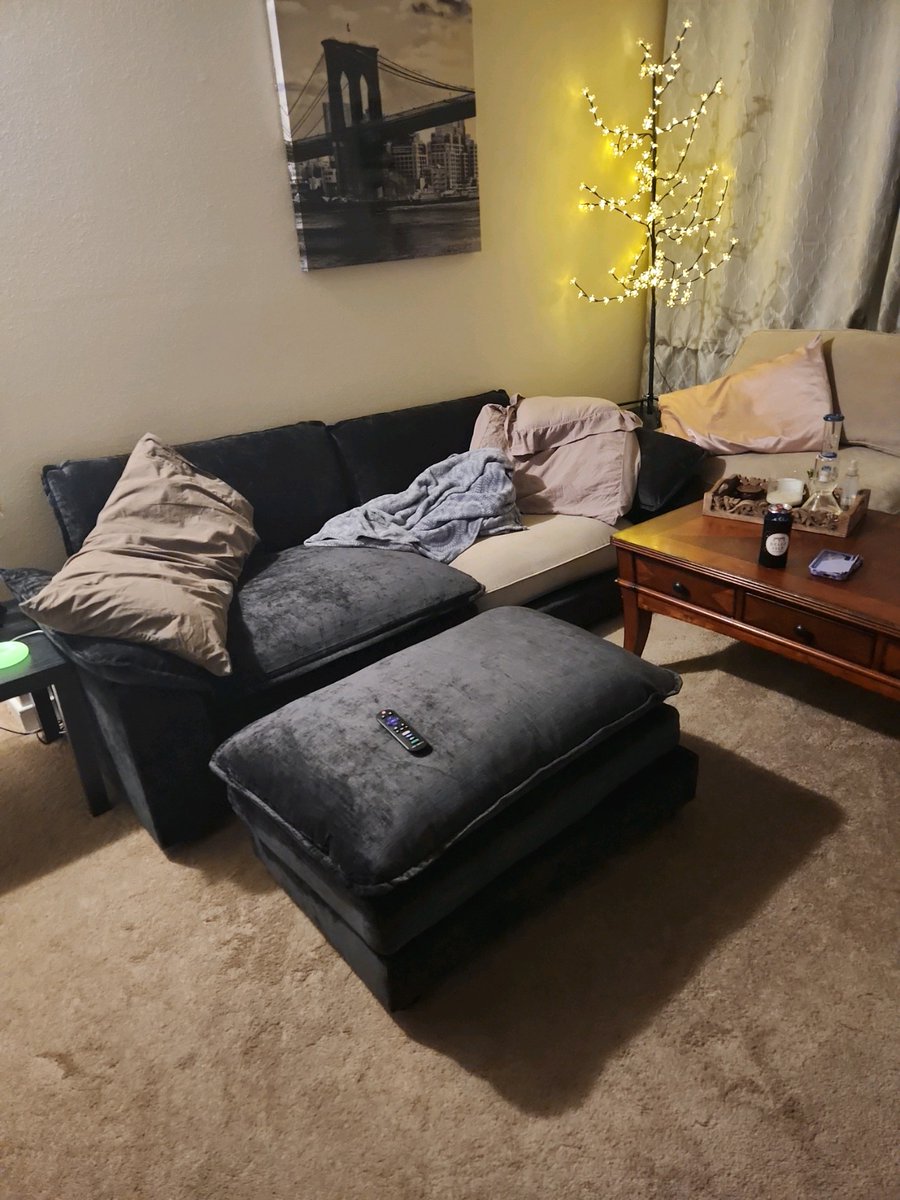 DankDani90's tweet photo. I need everyone's help with @SHEIN_Official I ordered a couch that was supposed to come with two seat cushions and they only provided me with 1. Their customer service is not helping in sending me the 2nd cushion! Please help! https://t.co/YusMylSl0Z