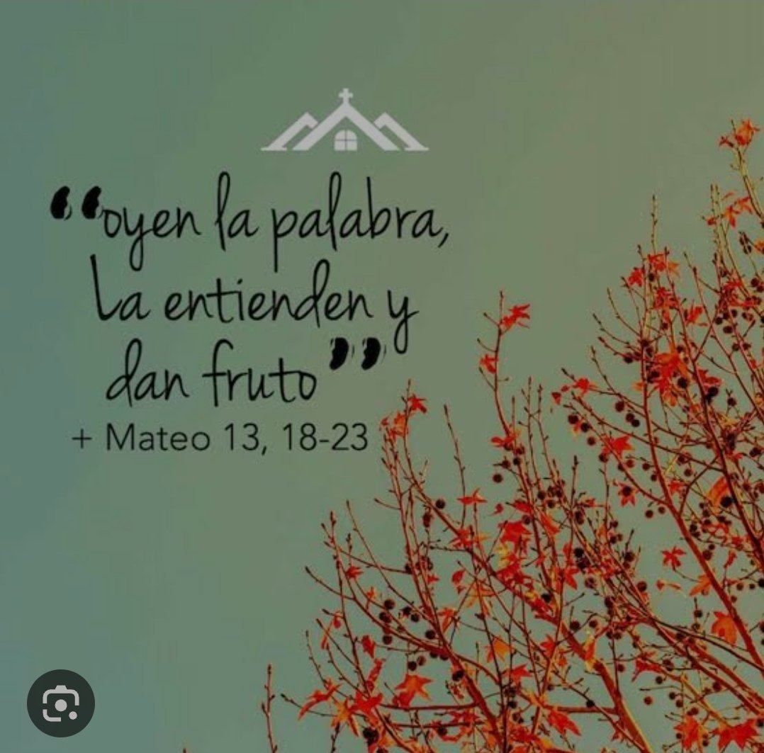 fe_digital1973's tweet photo. La Palabra de Dios hoy. https://t.co/DBIkgNK1bk