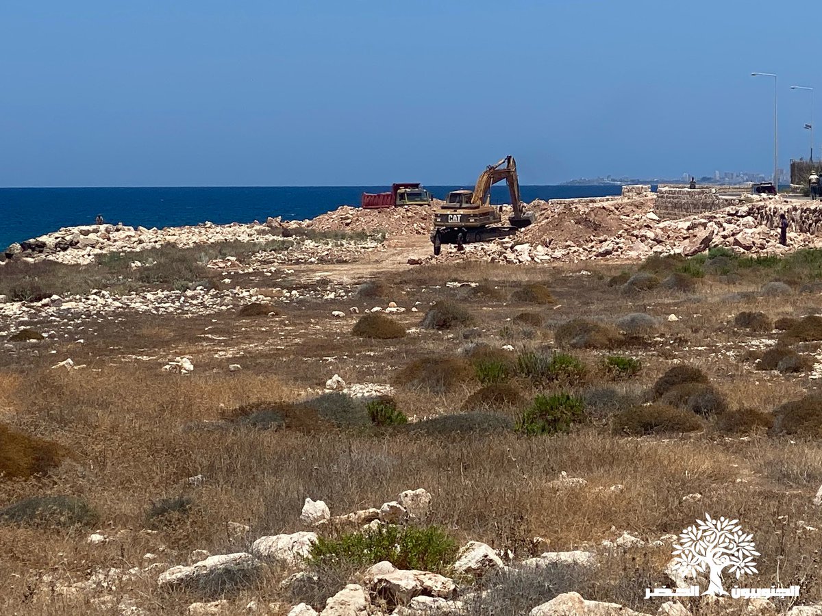 Green Southerners الجنوبيون الخضر tweet media