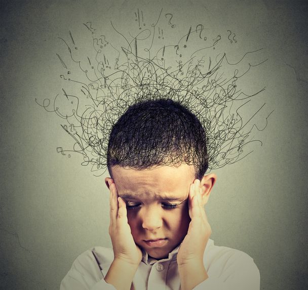 TheQuakerSchool's tweet photo. Have you ever heard the term lizard brain?  It's in this lizardy area of the brain where anxiety happens for nearly 1 in 4 children.  Learn 5 tips from Alex to help your child calm their lizard brain in his Shine Together blog: https://t.co/fPy8ELVgya https://t.co/0T2SAob0ho