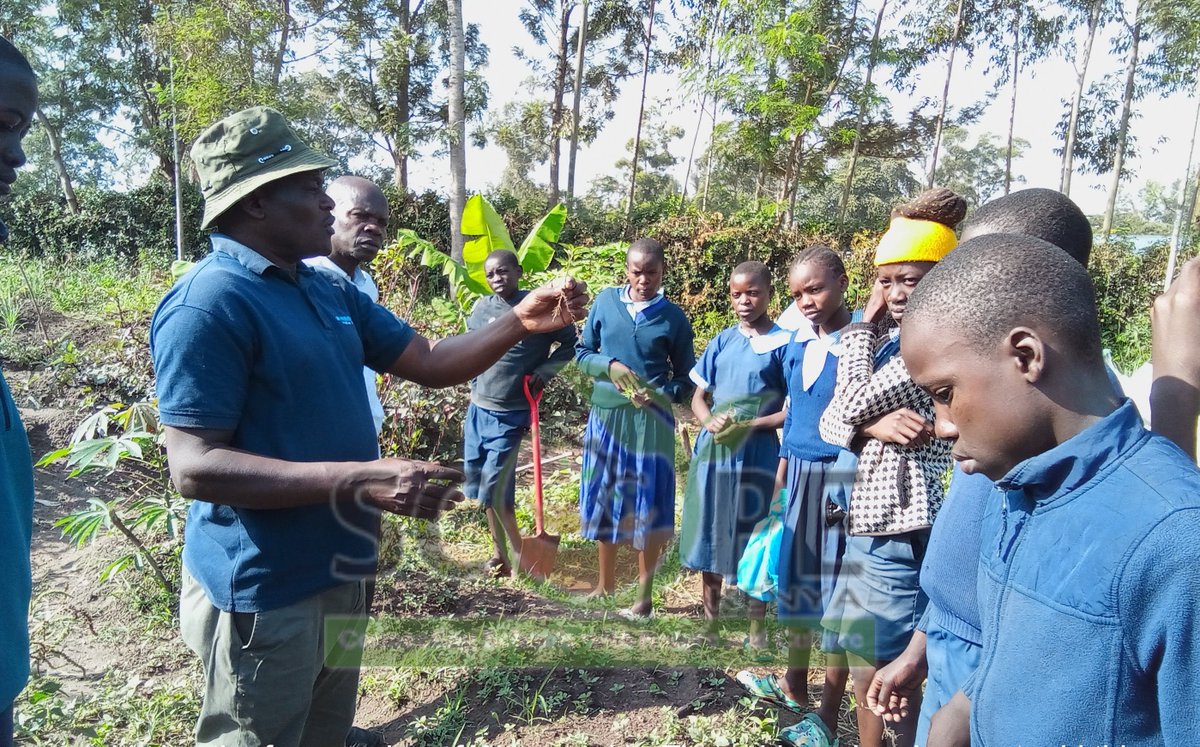 scope_kenya_'s tweet photo. For the sustainability of the #SchoolFeedingProgram, schools should produce their own food through the transformation of their bare lands into productive landscapes.
#Sustainability
#FoodSecurity
#Permaculture
#foodforest
#workingwithschools https://t.co/v4PHkh0RK7