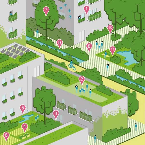Julio ha sido el mes más caluroso de la Historia. Adaptar las ciudades a esta realidad es una oportunidad para fomentar la biodiversidad urbana. ¿Cómo?

1⃣Impulsando una red de refugios climáticos en jardines, patios y espacios libres de edificación de propiedad municipal.👇