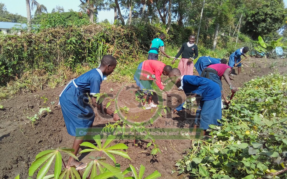 scope_kenya_'s tweet photo. For the sustainability of the #SchoolFeedingProgram, schools should produce their own food through the transformation of their bare lands into productive landscapes.
#Sustainability
#FoodSecurity
#Permaculture
#foodforest
#workingwithschools https://t.co/v4PHkh0RK7
