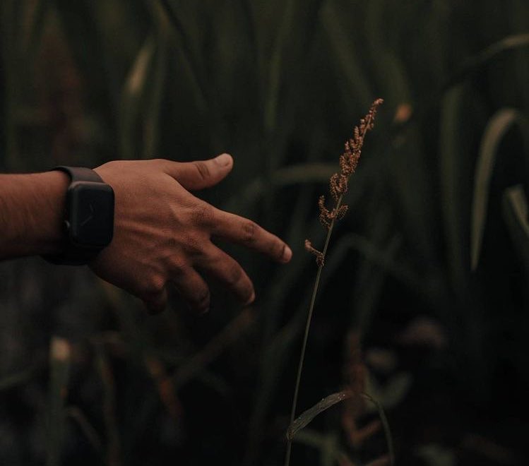 إن أشد ما يحتاج إليه الإنسان.. 

ڪتفٌ تسع رأسه و قلبٌ يسمع همسه و حضنٌ يحوي نفَسَه و أملٌ يهزم يأسَه و يومٌ ينسيه أمسَه و عينٌ يبصر فيها أُنسَه..

إن أشد ما يحتاج إليه الإنسان إنسانٌ يجد عنده نفسَه..

- قاسم قاسم.