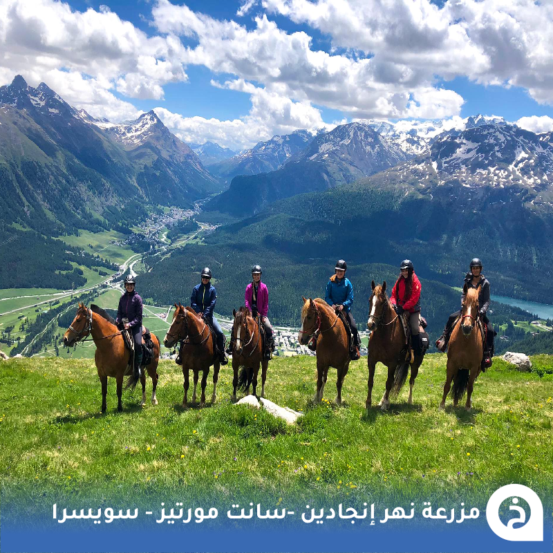 TouristMapsApp's tweet photo. مزرعة خيول نهر إنجادين #سويسرا🇨🇭 

تجوّل وسط الطبيعة الساحرة على الخيول بوادي #انجادين المجاور لقرية #سانت_مورتيز بين الأنهار والجبال والغابات الخضراء لمدة ساعة أو أكثر من هذه المزرعة🐎🌲🏔️🌊😍↓
Engadin River Ranch
📍https://t.co/7U2dUiRT6o

• مُضاف في خريطة سويسرا السياحية. https://t.co/bkc2c9IOLy