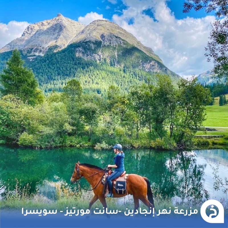 TouristMapsApp's tweet photo. مزرعة خيول نهر إنجادين #سويسرا🇨🇭 

تجوّل وسط الطبيعة الساحرة على الخيول بوادي #انجادين المجاور لقرية #سانت_مورتيز بين الأنهار والجبال والغابات الخضراء لمدة ساعة أو أكثر من هذه المزرعة🐎🌲🏔️🌊😍↓
Engadin River Ranch
📍https://t.co/7U2dUiRT6o

• مُضاف في خريطة سويسرا السياحية. https://t.co/bkc2c9IOLy