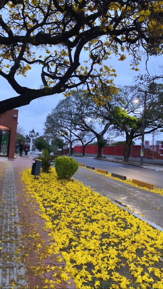 panrepostero's tweet photo. No busques nuevos paisajes, ve las cosas que ya tienes frente a ti con unos ojos nuevos. https://t.co/ko8UFpiulH